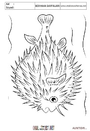 Balon Balığı boyama sayfaları